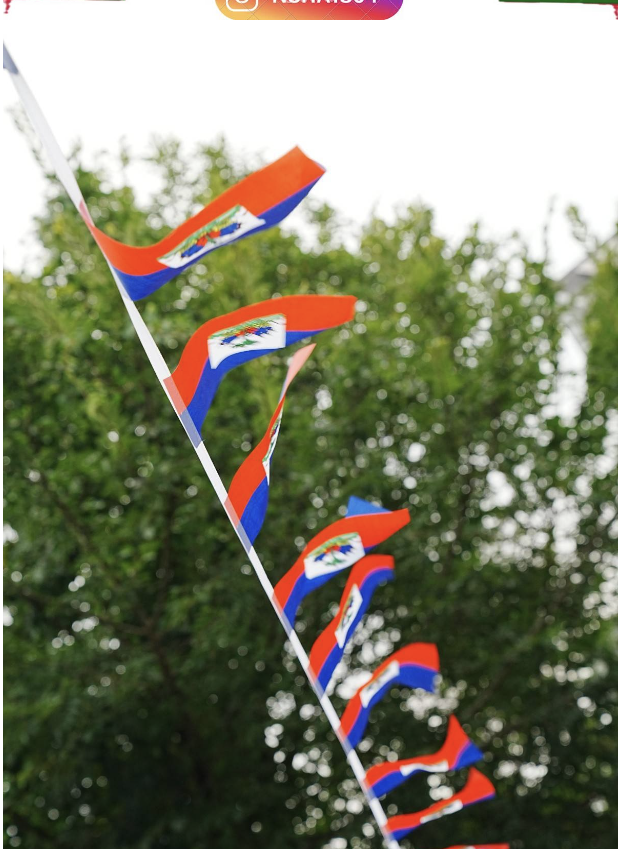 Haitian Flags